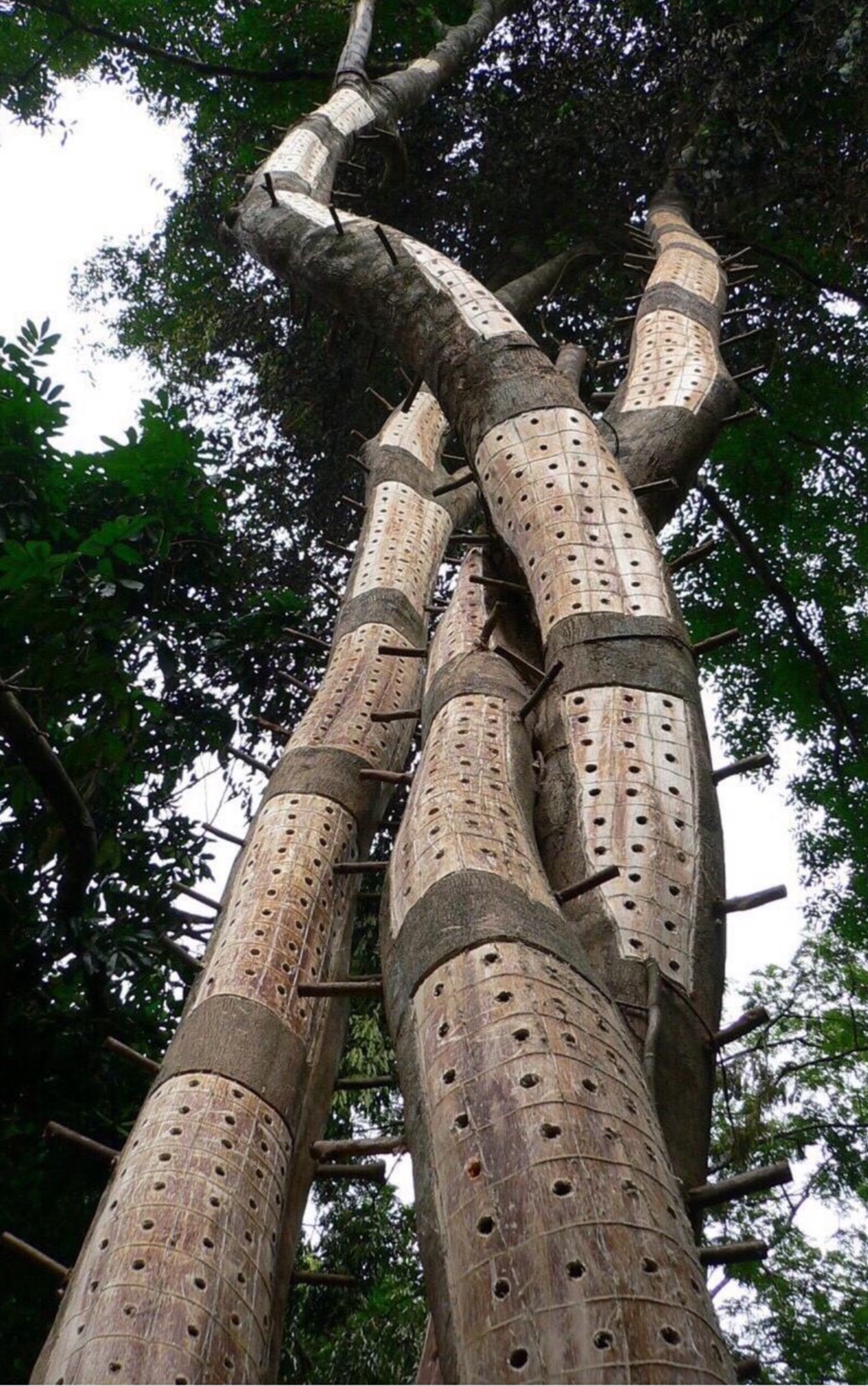 Finished agarwood products for export